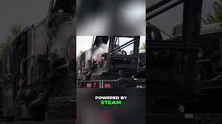WWII Chatham Dockyard's Mighty Steam Cranes Revealed! #shorts