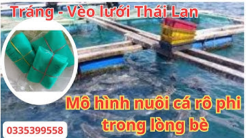 Tráng - Vèo lưới Thái Lan nuôi ốc cá tôm cua ếch lươn, Mô hình nuôi cá rô phi trong lòng bè