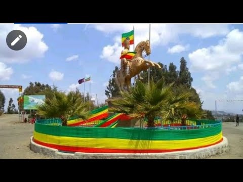 ቪዲዮ: ዞን 7 ሳር ተከላ፡ ለዞን 7 የመሬት ገጽታ ጌጣጌጥ የሳር እፅዋትን መምረጥ