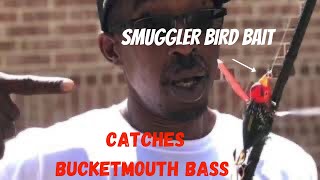 Ep 33  3.5” SMUGGLER by CHASEBAITS REVIEW. CHASEBAITS 3.5” SMUGGLER BIRD  CATCHES BUCKETMOUTH BASS‼️ 