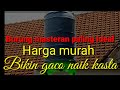 Burung Masteran Cucak Ijo Murai Batu Kacer Terbaik Seindonesia Mp3 - Mp4 Download