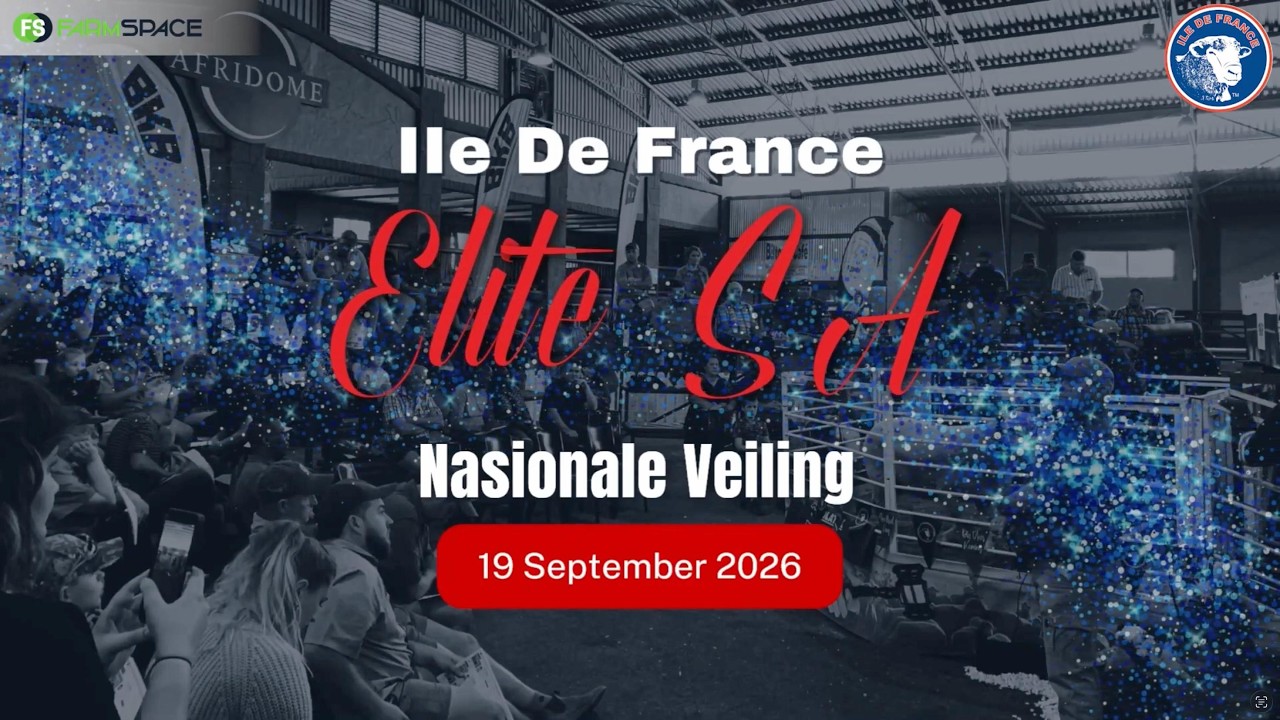 🐑 Die Elite SA Nasionale Veiling, is een wat jy eenvoudig nie wil misloop nie!