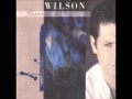 Brian Wilson - Baby Let Your Hair Grow Long