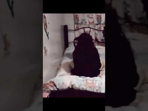 فيديوهات مرعبه ومخيفة صورتها الكاميرات بصدفة اكسبلور رعب