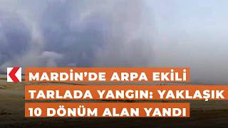 Mardin’de arpa ekili tarlada yangın: Yaklaşık 10 dönüm alan yandı