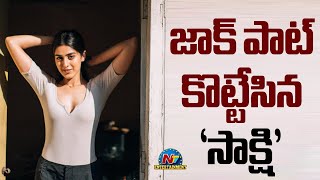 Sakshi Vaidya got New Movie Offer | Sakshi Vaidya || @NTVENT