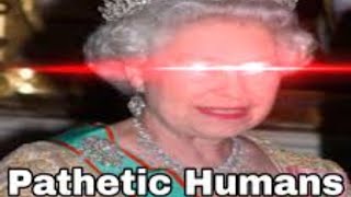Ultimate Shitpost Status Compilation ylyl level 20 🥶 😱 🔥
