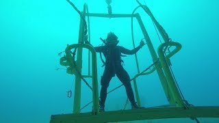 Clearance Divers on Exercise RIMPAC