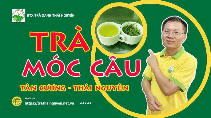 Top 10 Đặc Điểm Nổi Bật của Trà Móc Câu Tân Cương Thái Nguyên