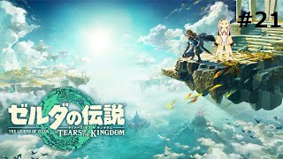 【ゼルダの伝説　ティアキン】下手くそだけど地上絵を集めるぞ！#21