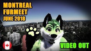 Montreal Furmeet - June 2018