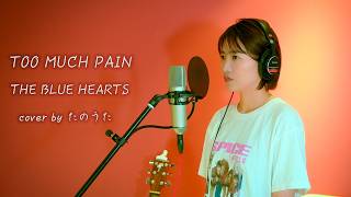 TOO MUCH PAIN / THE BLUE HEARTS cover by たのうた