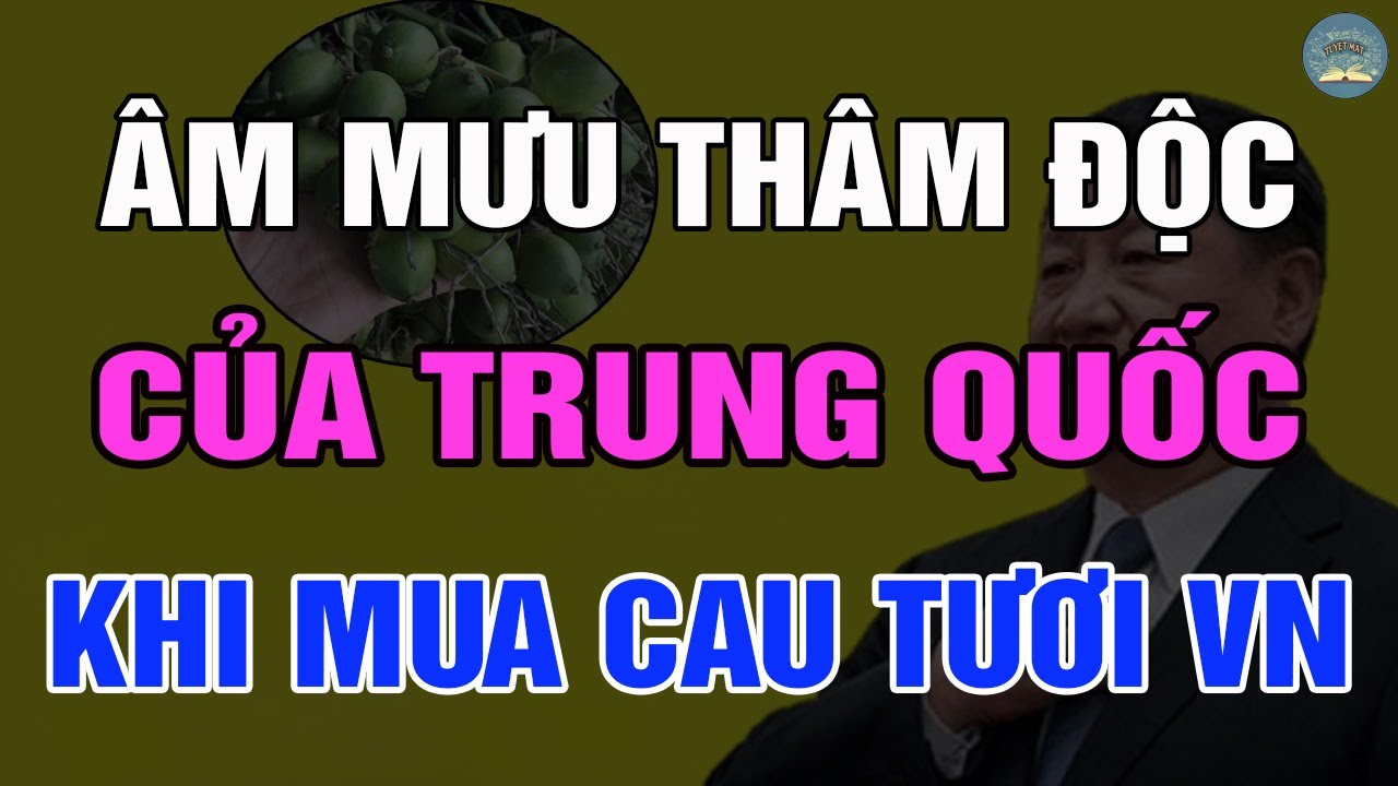 TRUNG QUỐC Mua Cau Tươi SỐ LƯỢNG LỚN Của VIỆT NAM Về Để Làm Gì? | TUYỆT MẬT TV