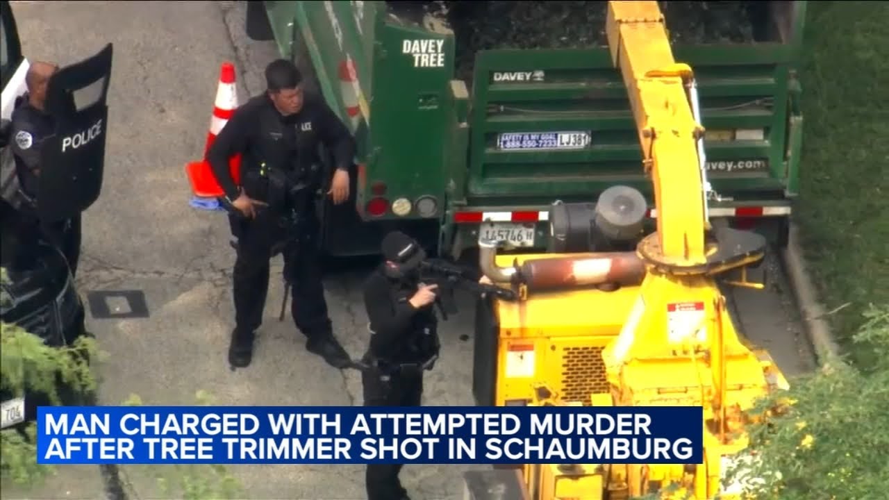 Schaumburg man charged in shooting of tree trimmer