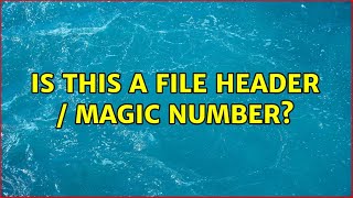 Is this a File Header / Magic Number?