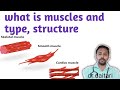 What is muscles,type of muscles and what is structure ,by Daitari