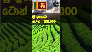 Top 10 tea production countries in the world  #short #shorts #top10 #tea