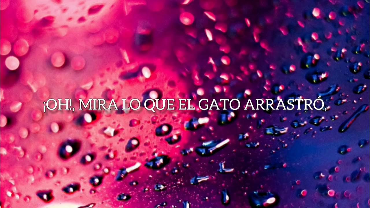 Armin van buuren presents rising star fiora just as you are letra