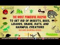 Very Strong Al Quran Ruqyah to Get Rid of Insects, Bugs, Lizards, Snake, Rats, and harmful creations