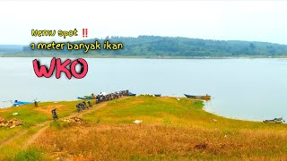 Download Lagu Ikan sangat gacor di kedalaman 1 meter ‼️ MP3