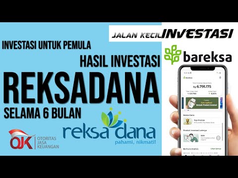 Hasil Investasi Reksadana di Bareksa Selama 6 Bulan | Investasi Untuk Pemula | Modal Kecil |