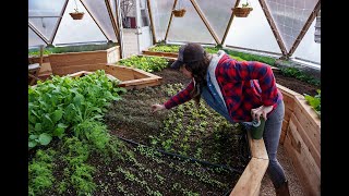 26' Growing Dome Greenhouse - Golden, CO