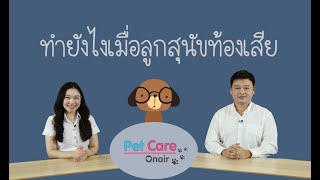 ทำอย่างไรเมื่อลูกสุนัขท้องเสีย | pet care onair