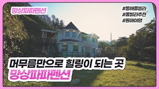 Cinematic [동해 망상파파펜션] 독채풀빌라 펜션추천 풀빌라추천 동해펜션 동해풀빌라 동해여행 스테이라이브 시네마틱