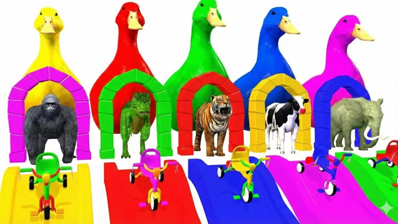 Fountain Cartoon Animals cow, tiger, dog, hand  Magical Animal Transformation Animation