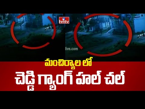 మంచిర్యాల లో చెడ్డి గ్యాంగ్ హల్ చల్ | Cheddi Gang Hulchul In Mancherial hmtv - HMTVNEWS