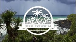 Alex Heimann - Quit Playing Games (Tropical Mix)
