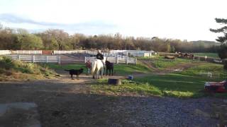 M4H07524.MP4