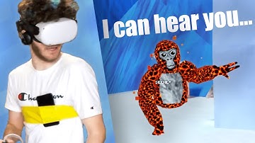 INSANE 30 Player Gorilla Tag VR Hide and Seek...