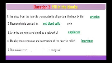 NCERT Solutions for Class 7 Science Chapter 11 Transportation in Animals and Plants