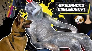 Wat werkt het beste om een speurhond te misleiden?Dat gaan we in de...