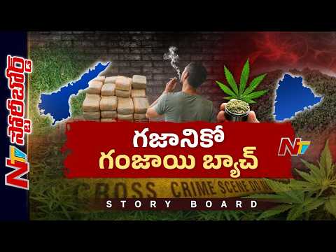 Story Board: గంజాయి తాగి ఘోరాలు చేస్తున్నారు.. మత్తులోనే మట్టుబెడుతున్నారు | NTV Telugu - NTVTELUGU