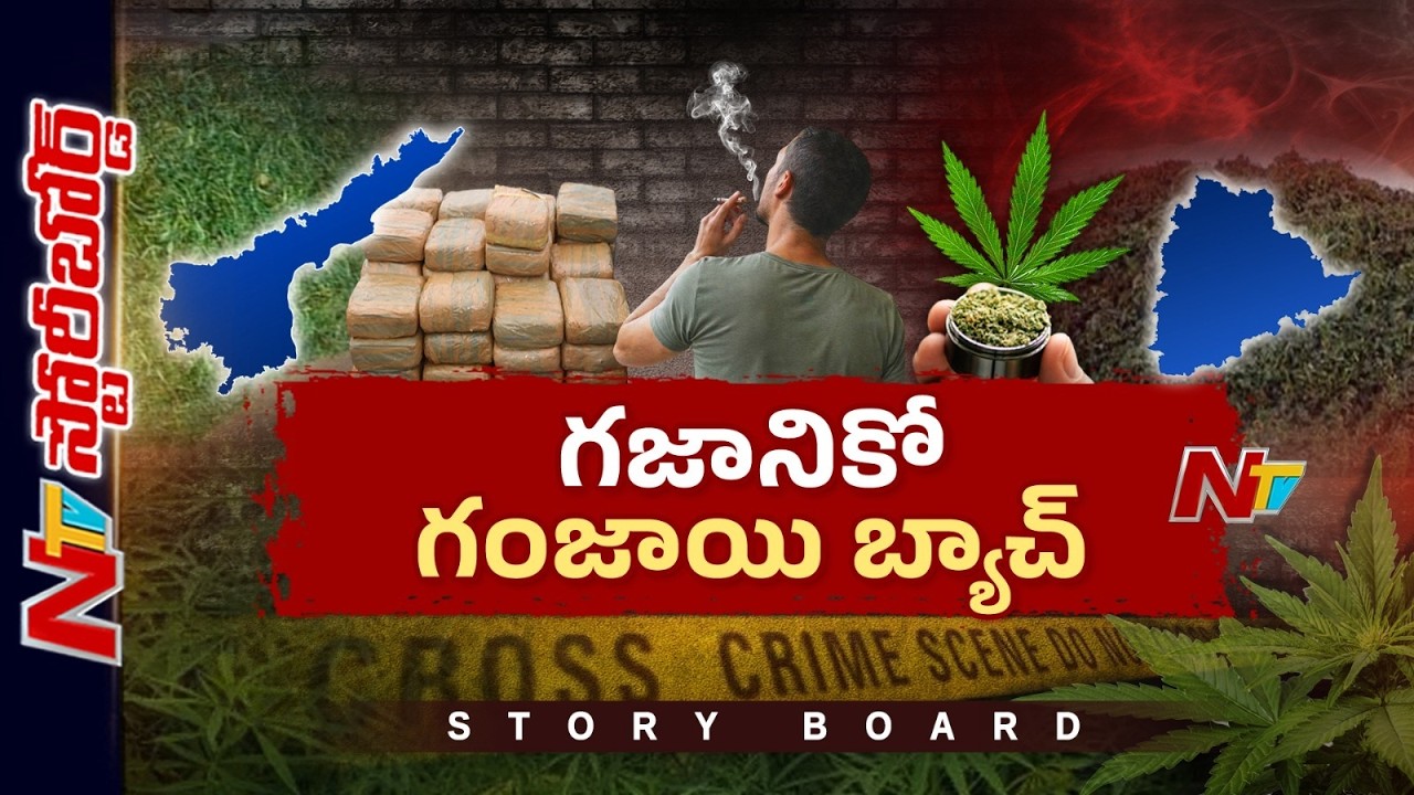 Story Board: గంజాయి తాగి ఘోరాలు చేస్తున్నారు.. మత్తులోనే మట్టుబెడుతున్నారు | NTV Telugu