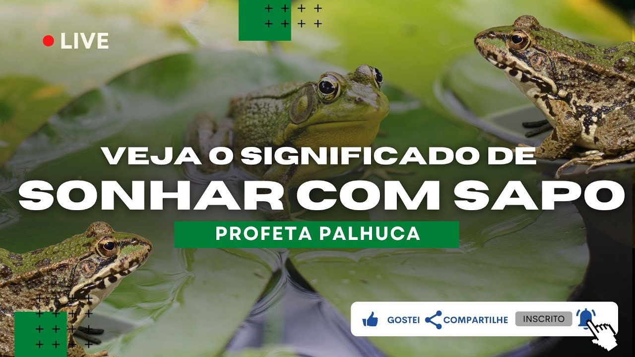 O que significa sonhar com sapo? Significado Evangélico