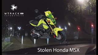 Stolen Honda MSX 125 Theft Recovery Operation Southampton 100320