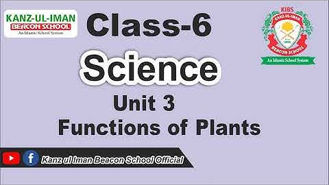 Class 6 Unit 3 Science by Kanz ul Iman Beacon School