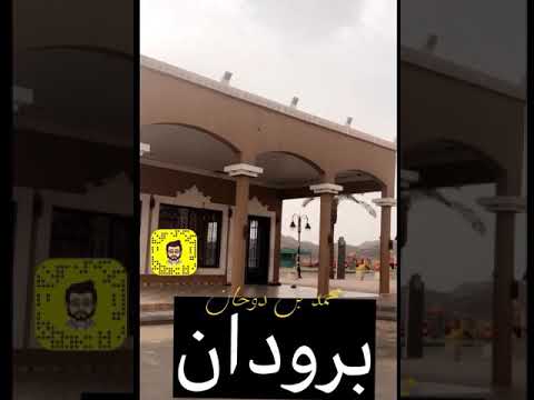 قصيدة الشاعر بن دوحان للشيخ شبيب بن فهيد العاطفي