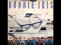 Donnie Iris & The Cruisers - Cry If You Want To (1983)