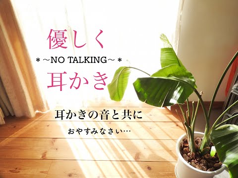【ASMR】NO TALKING 優しく耳かき 音フェチ