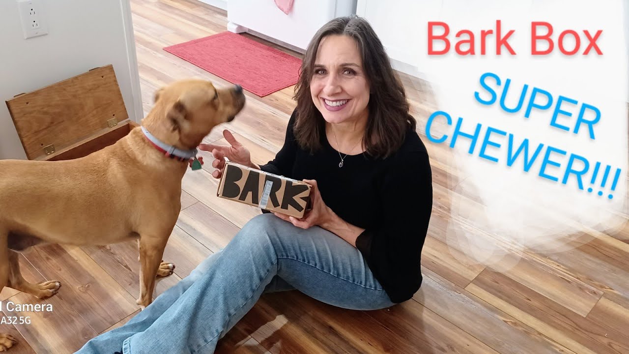 Unboxing Bark Box- Super Chewer With My Boys!