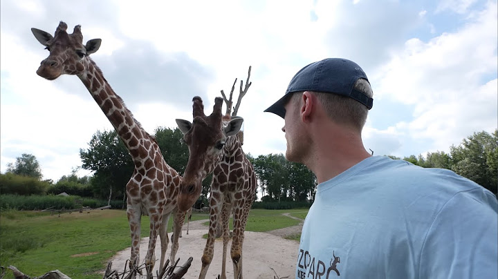 IK BEN EEN DIERENVERZORGER VOOR 1 DAG! 😍 #4351 #4352