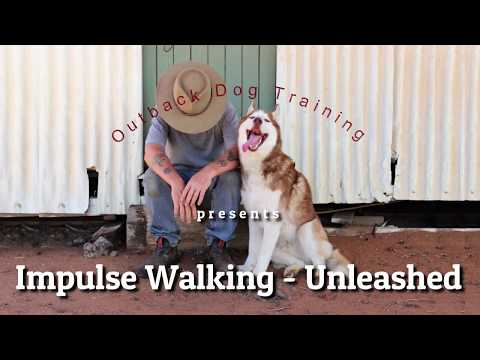impulse-walking-04---unleashed