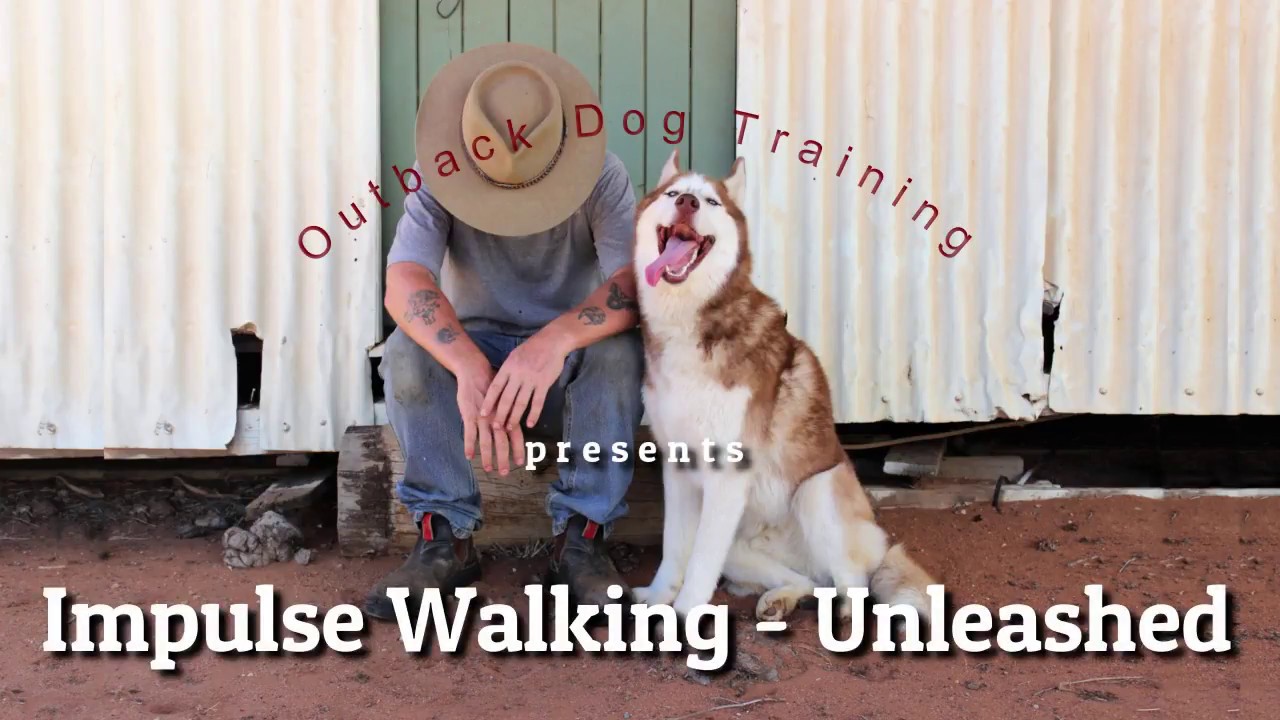 Impulse Walking 04 - Unleashed