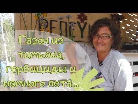 Vídeo: Veronica Daurskaya