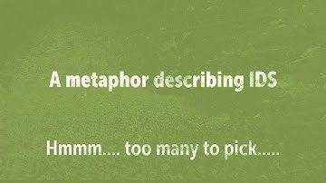 What is Interdisciplinary Studies?