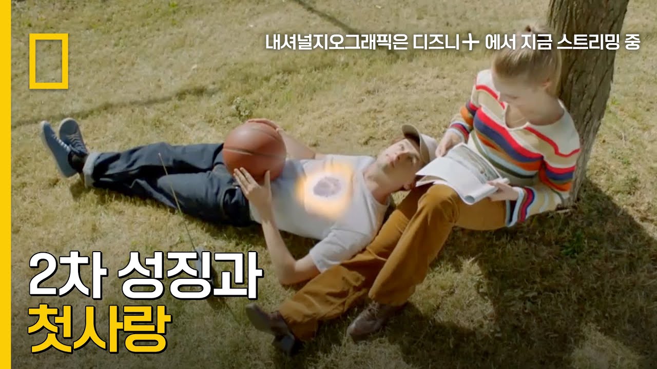 ⁣사랑으론 행복을 느낄 수 없다? 사랑 진화 과정을 확인하세요